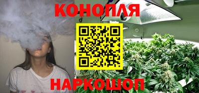 jwh Бийск