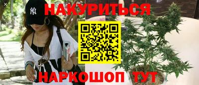 jwh Бийск