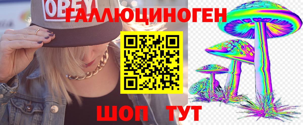 Галлюциногенные грибы Psilocybe  Вход с VPN  Кирово-Чепецк 